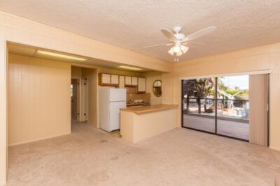 Downstairs living room and Kitchenette