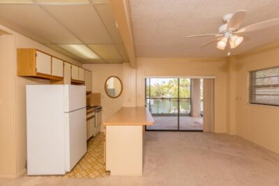 Downstairs Living Room and Kitchenette