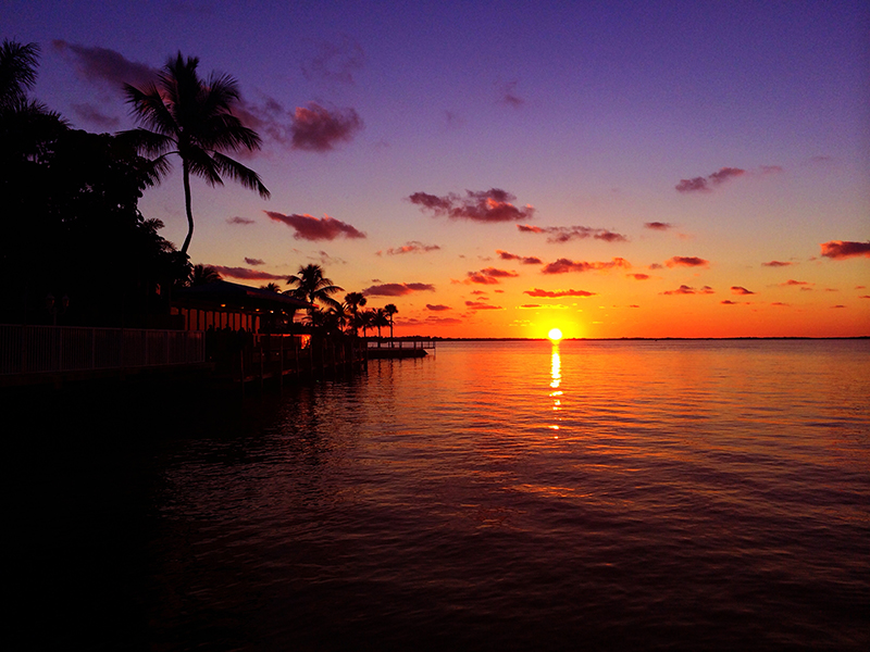 Florida Sunset