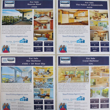 Flyers, Brochures