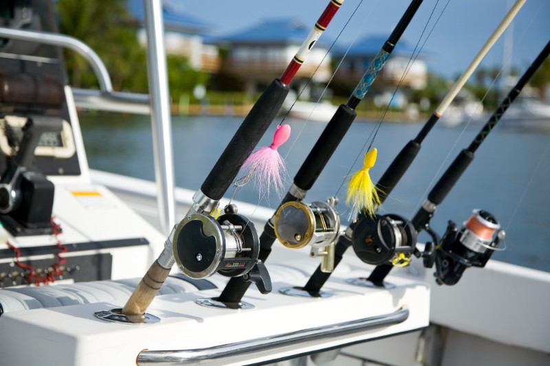 Go fishing stock
