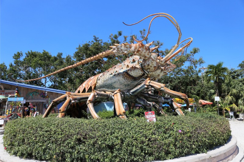 Giant Lobster