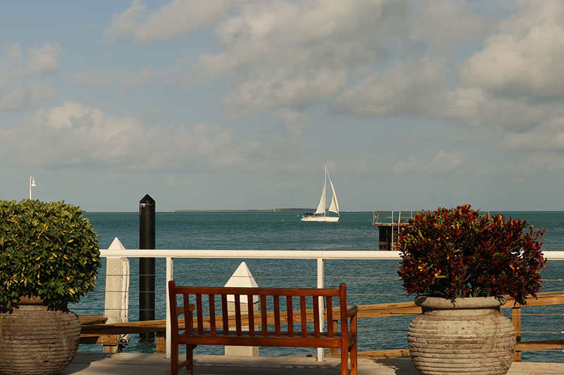 View of Ocean and Sailboat